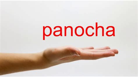 panocha definition|More.